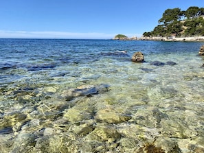 Plage à proximité, chaises longues, serviettes de plage