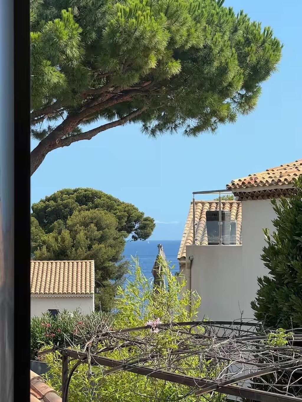 A coastal view with a large pine tree, a building with a tiled roof, and a clear blue sky.