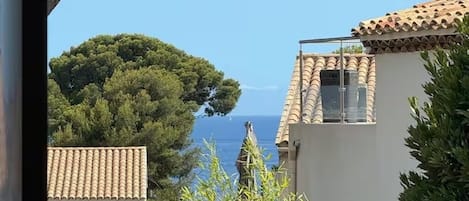A coastal view with a large pine tree, a building with a tiled roof, and a clear blue sky.