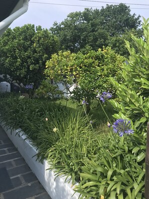 المنطقة المحيطة بالمنشأة