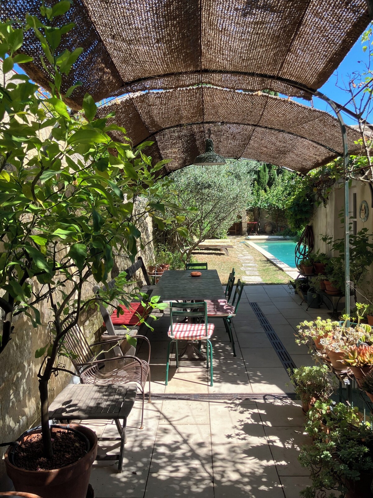 Image de profil de l’hôte