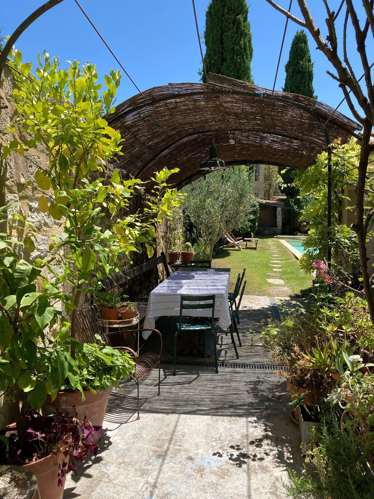 オーナーのプロフィール画像