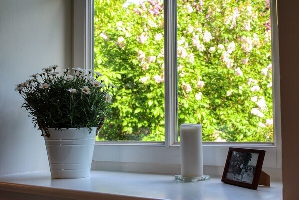 A window with a potted plant and a candle on a windowsill. - Große Wohnung im Ferienhaus Makrele von 1877 (Stahlbrode)
