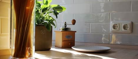 Une cuisine avec un grand vase en verre, une plante en pot, un porte-épices en bois et une assiette posée sur le comptoir.