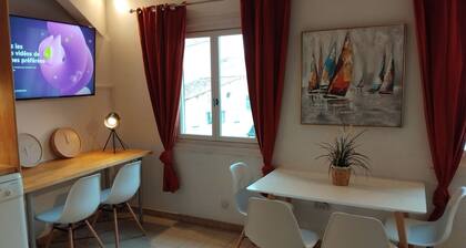 Renovated, town center, dishwasher, air-conditioned, WIFI, TV , double glazing