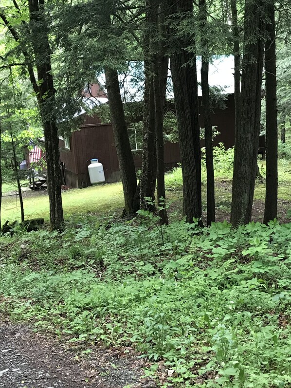 A wooded area with a wooden fence, a white water tank, and a red building in the background.