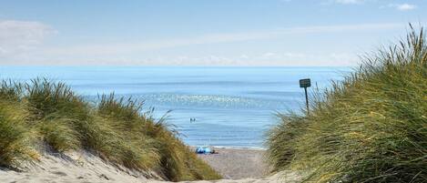 Vlak bij het strand, vissen