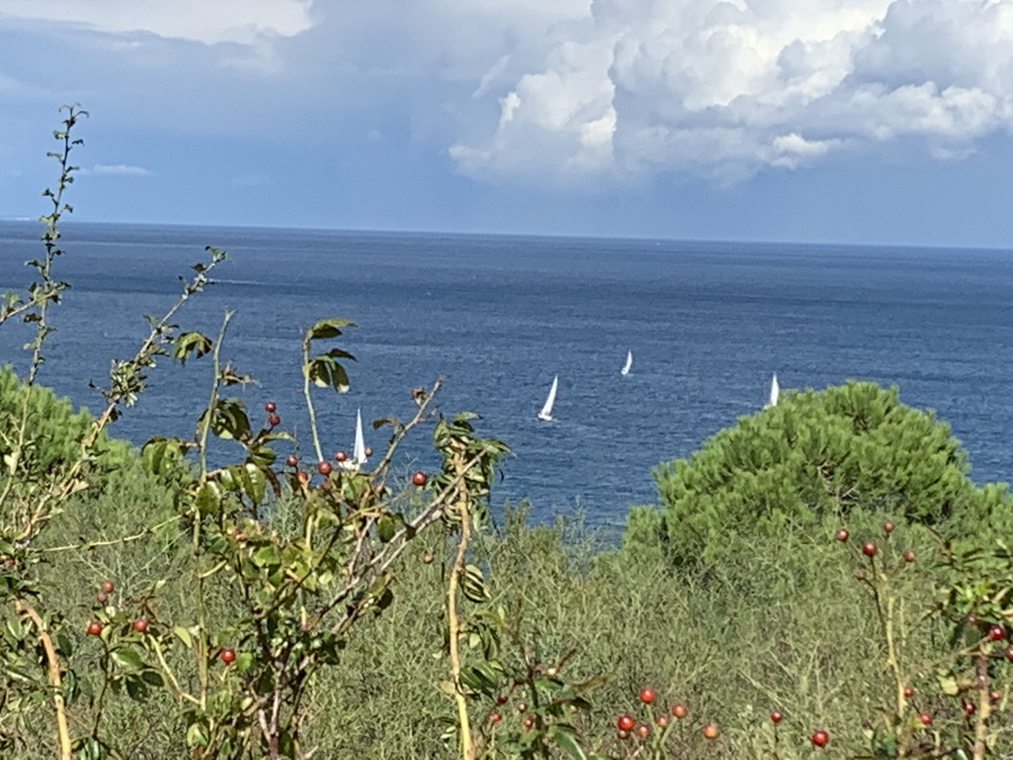 靠近海滩、沙滩椅