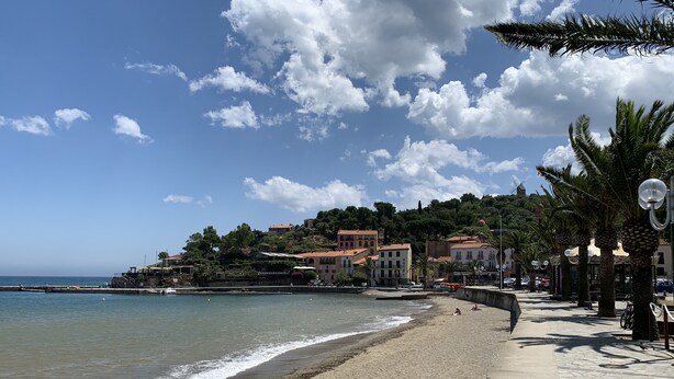 A coastal town with a sandy beach, a promenade lined with palm trees, and buildings with red-tiled roofs. - Appartement 4 personnes vue mer (Collioure)