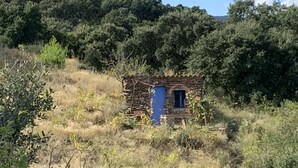 A small stone building with a blue door, surrounded by dry grass and trees. - Appartement 4 personnes vue mer (Collioure)