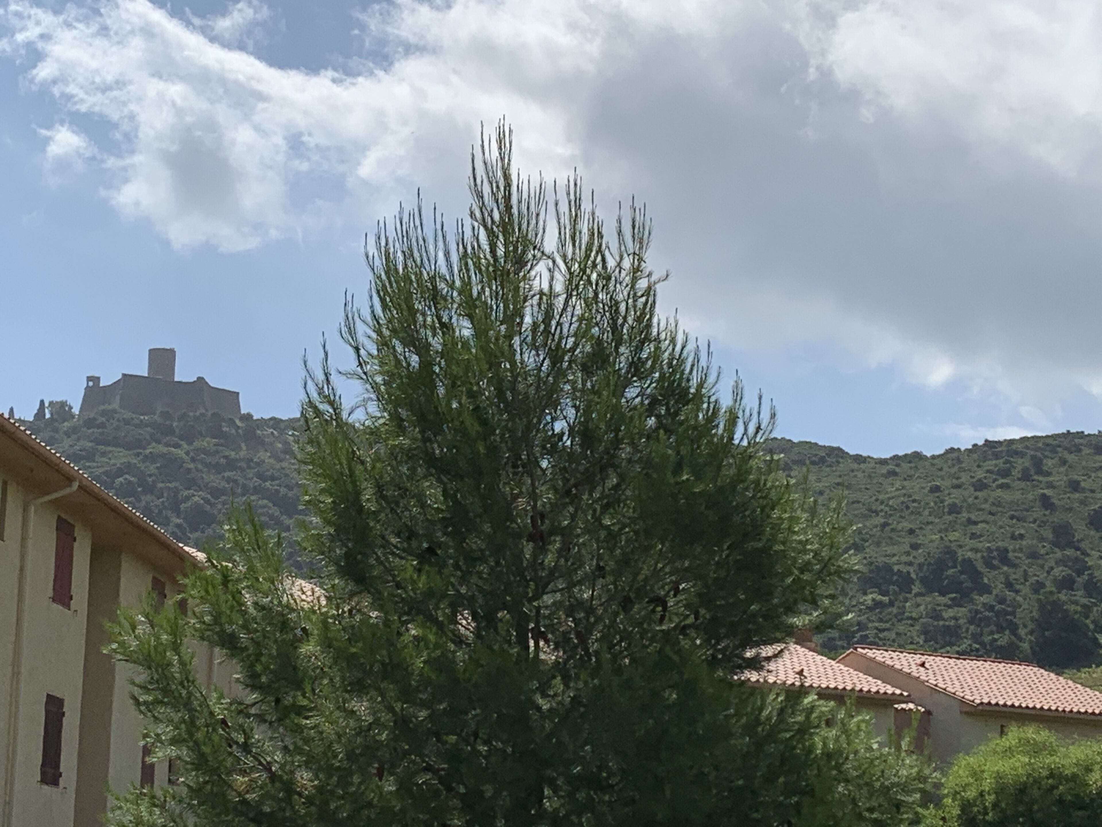 A building with a red-tiled roof, surrounded by greenery and a hill with a castle-like structure in the background.