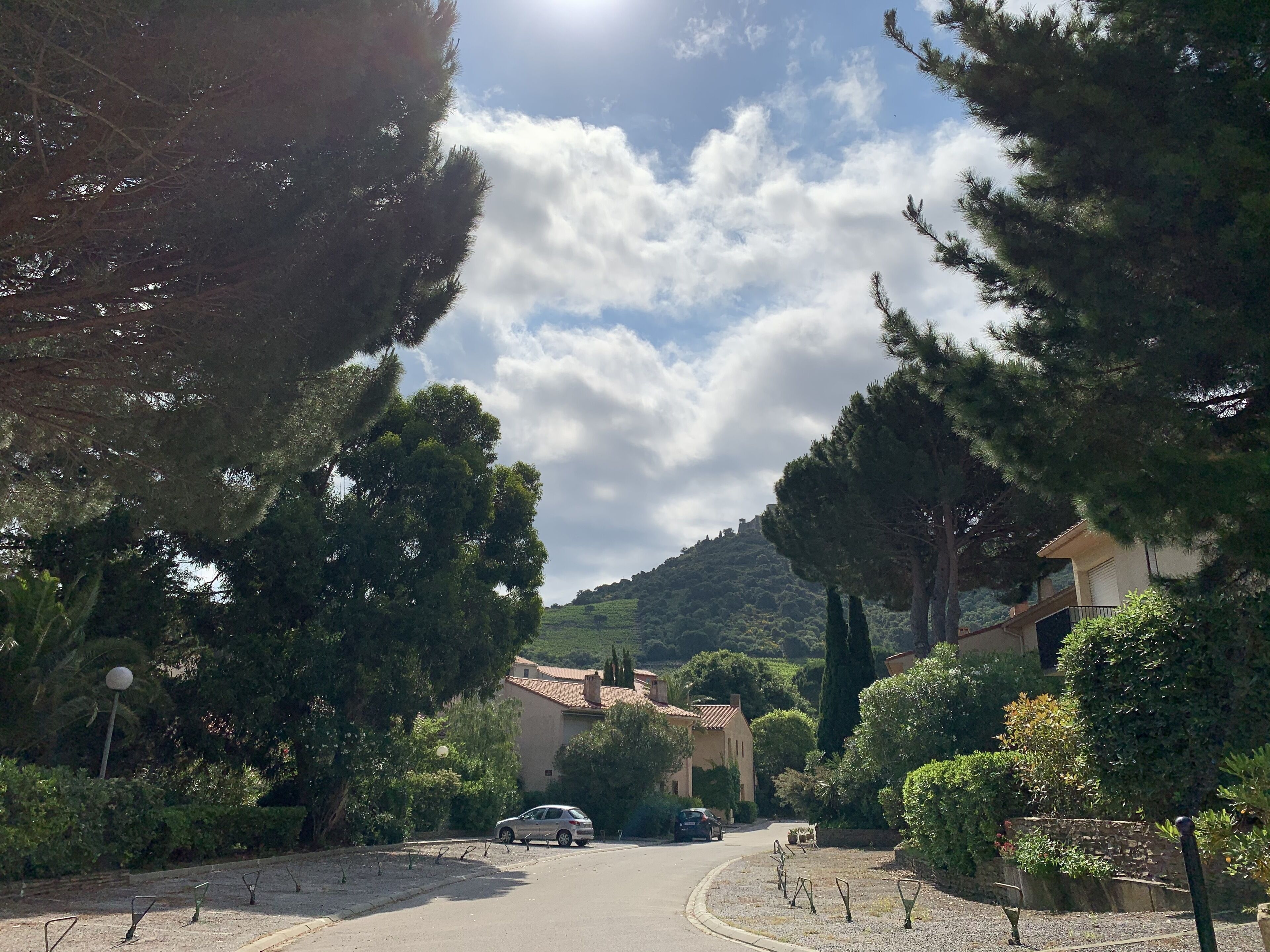 A residential street with houses, trees, and parked cars.