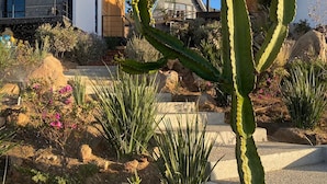 Un jardín desértico con un cactus destacado, varios arbustos y una casa moderna con techo inclinado y amplias ventanas.