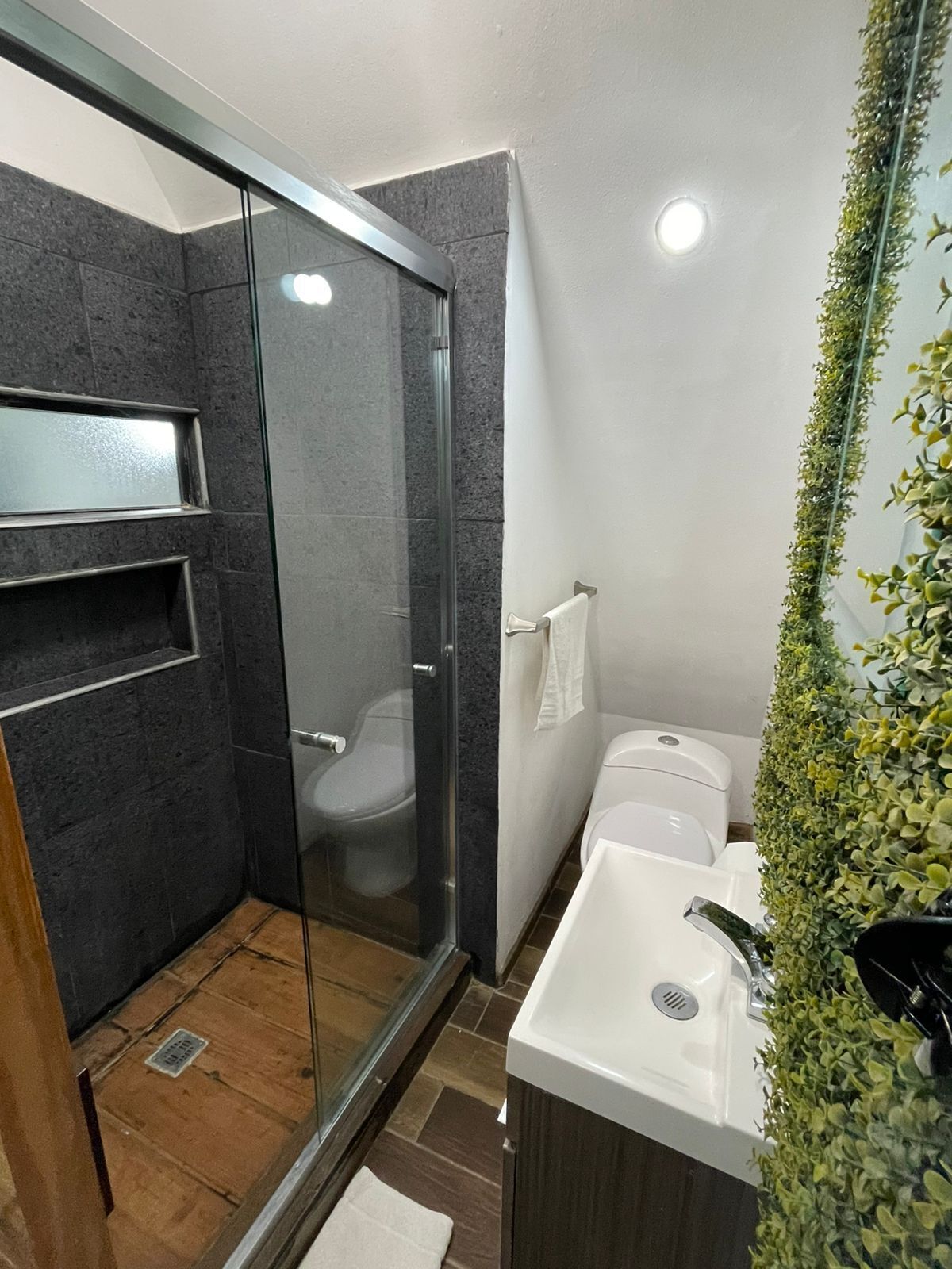 Foto - Temexkal Resort