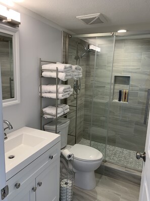 Shower, hair dryer, towels, soap