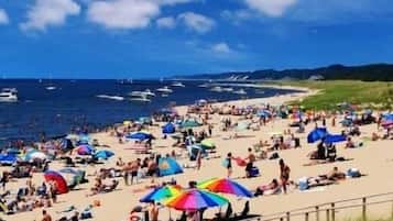 Camastros y toallas de playa