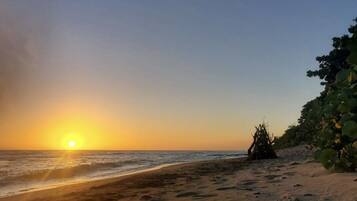 Plage, chaises longues, serviettes de plage