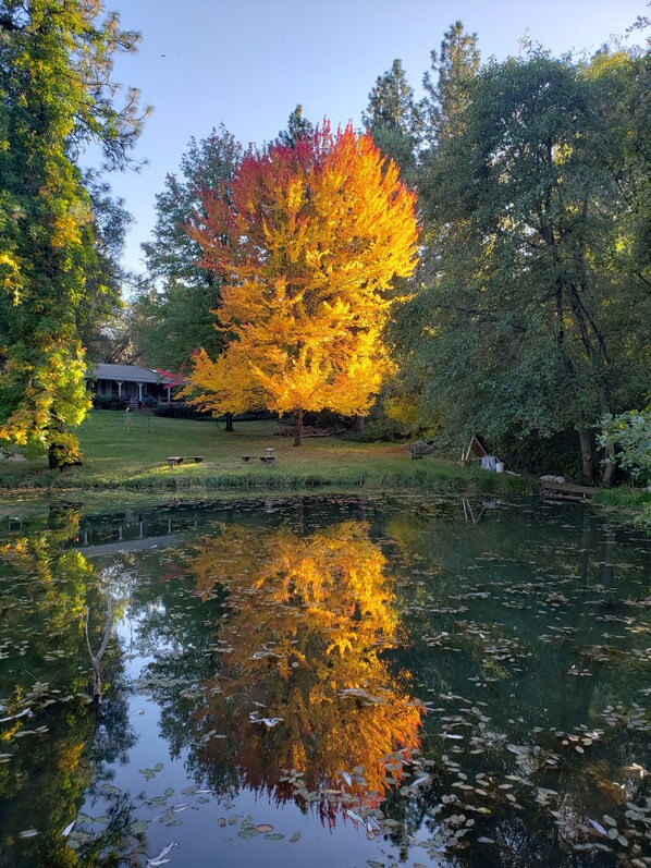 Jardines del alojamiento