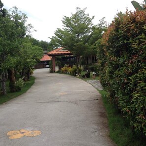 Vườn
