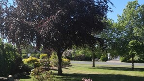 Un jardin aménagé avec une variété de plantes, un chemin en briques et un grand arbre en arrière-plan.