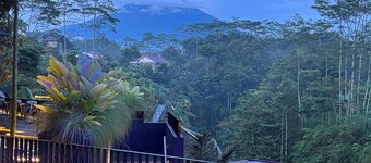 Wonosobo 達法姆飯店