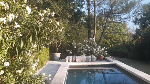 A swimming pool with a stone border, surrounded by lush greenery and flowering plants. - Charming and quiet cottage (Aix-en-Provence)
