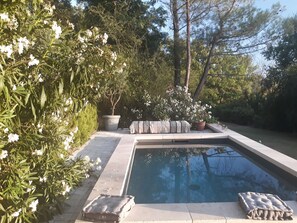 A swimming pool with a stone border, surrounded by lush greenery and flowering plants.