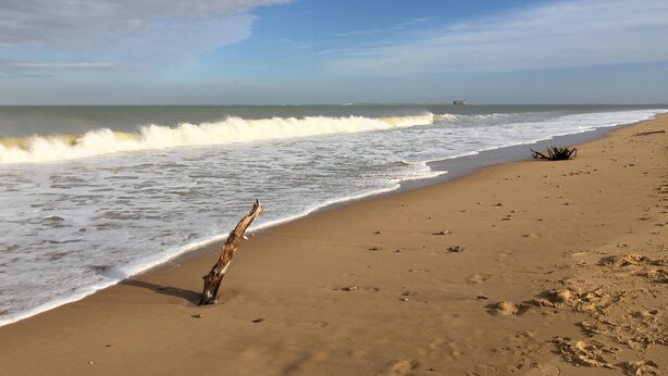Ein Strand mit brechenden Wellen, ein einzelnes Treibholz und eine ferne Struktur auf dem Wasser.