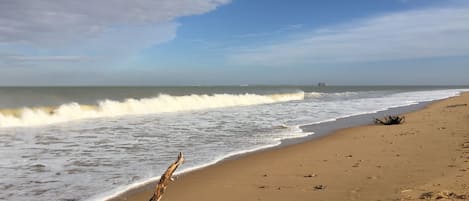 Plage, chaises longues