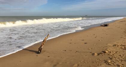 House 100 m from the beach