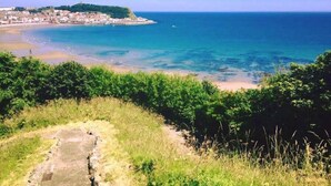 Un paisaje costero con vistas despejadas al mar, una playa arenosa y un sendero que conduce a una zona con césped.