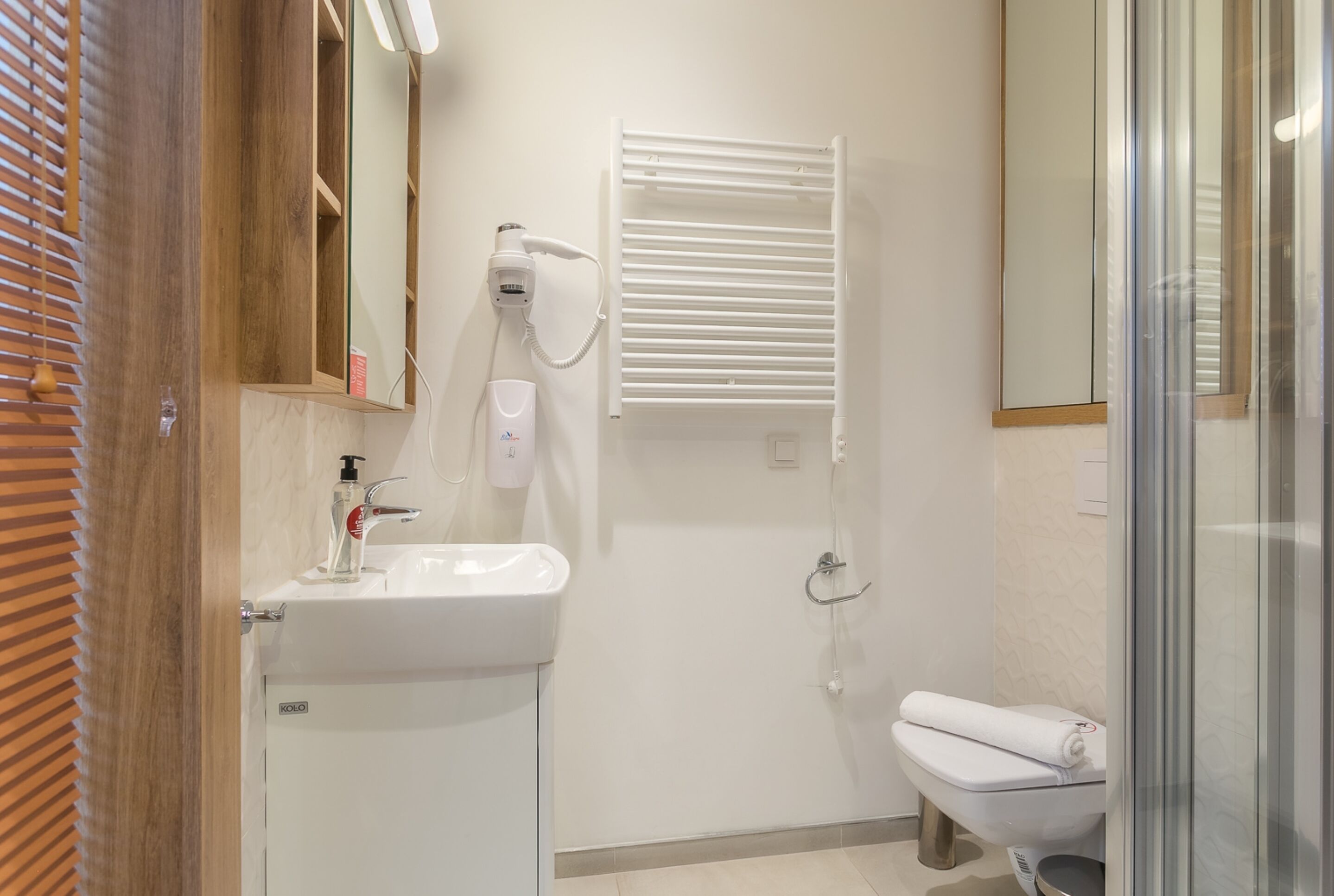 Een badkamer met een witte wastafel, een spiegel, een haardroger, een handdoek en een douchecabine met glazen wanden.