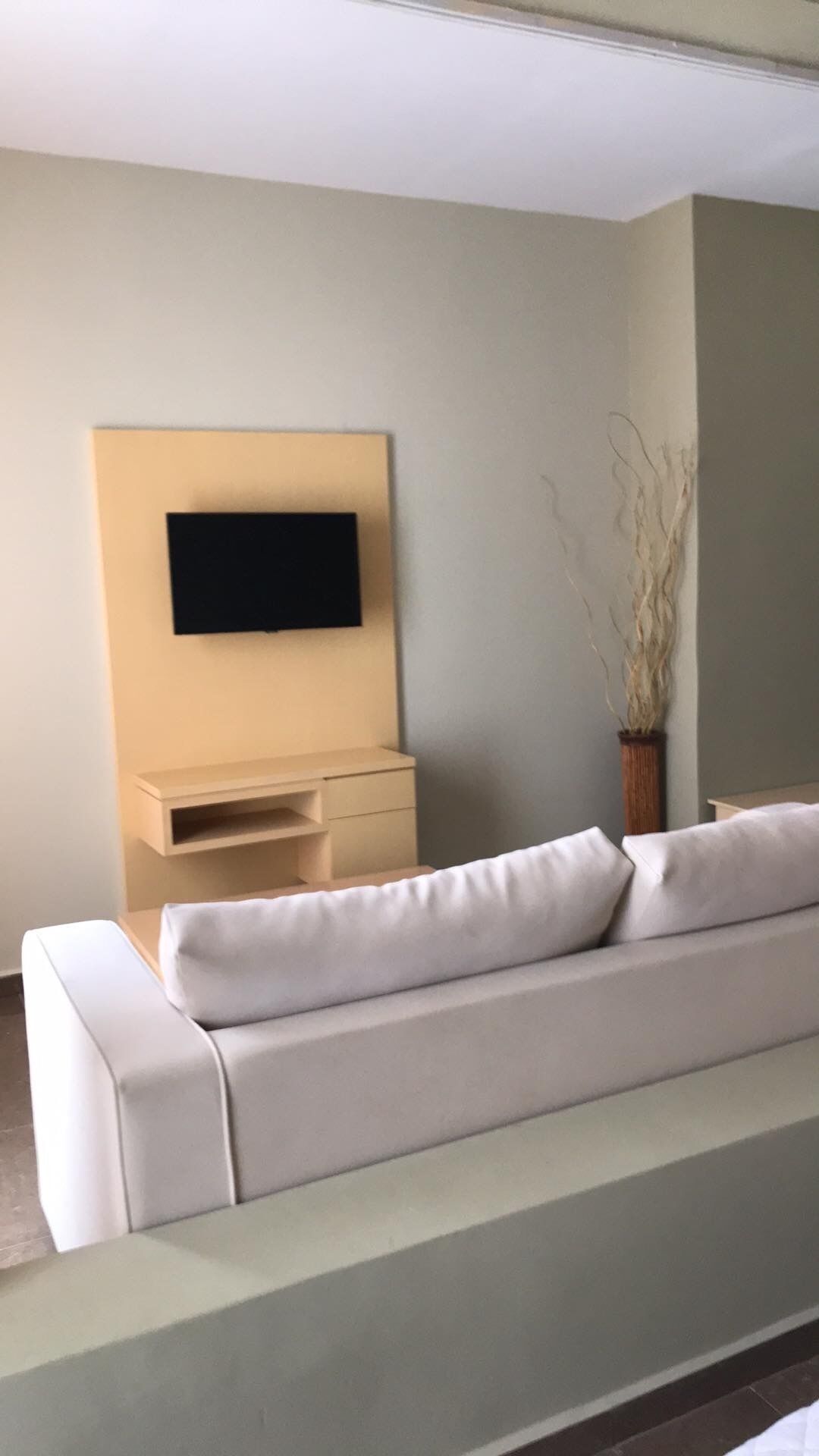 A modern living room with a beige sofa, a flat-screen TV mounted on a wooden console, and a vase with dried plants.