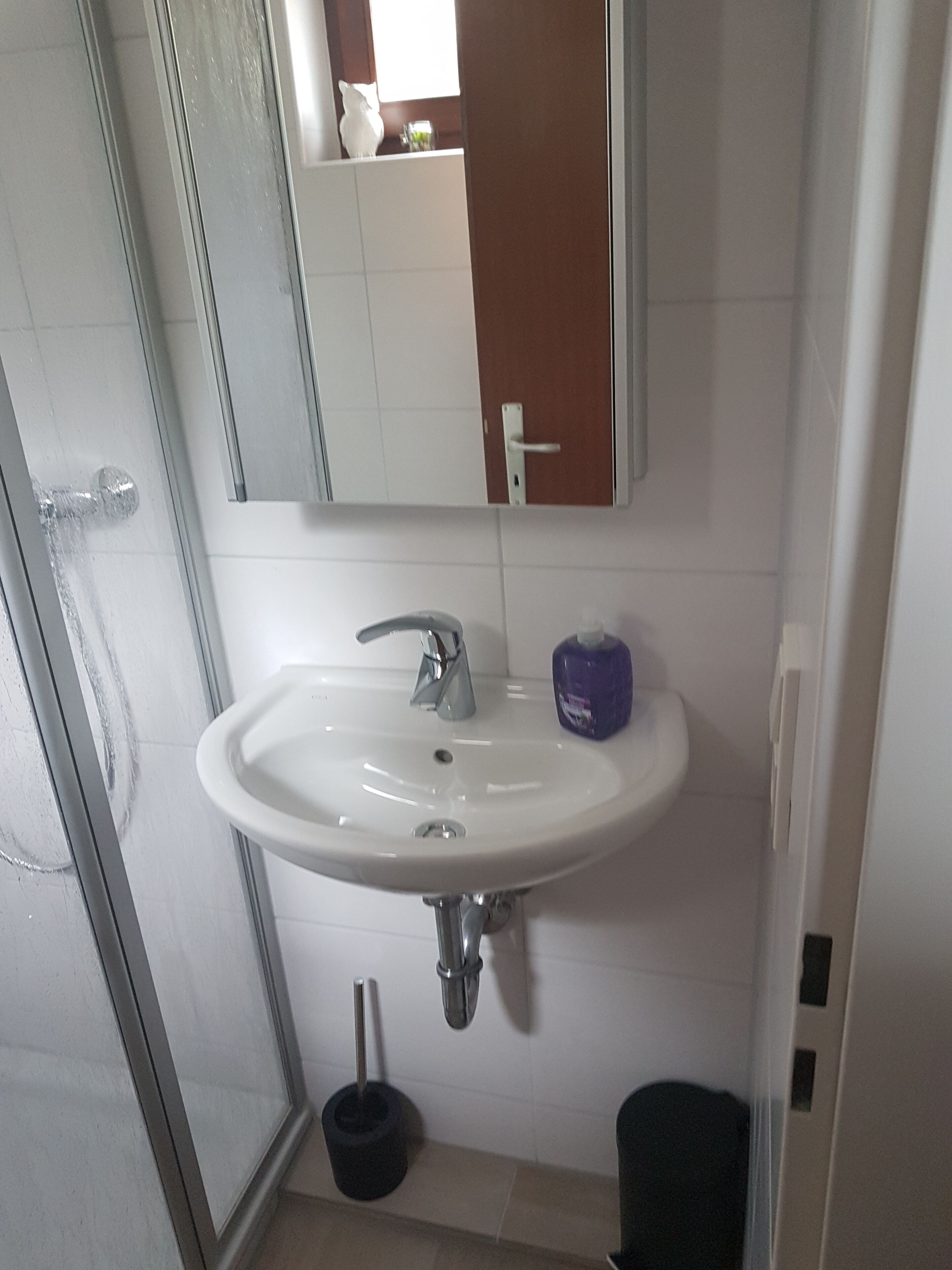 A bathroom with a white sink, a mirror above it, a shower door, and a toilet.