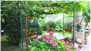 Un jardín con un pérgola, un banco de piedra y plantas en macetas.