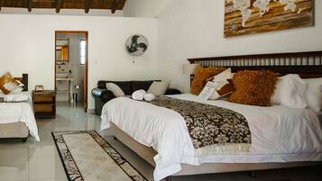 Executive Double Room | Iron/ironing board, free WiFi