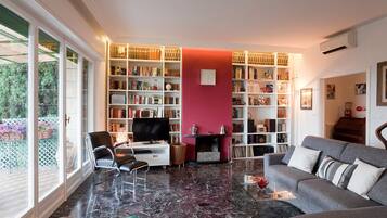 TV, fireplace, DVD player, books