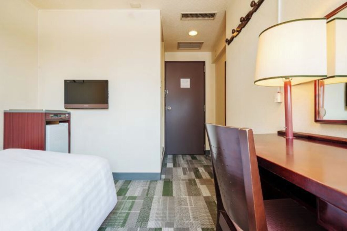 A hotel room with a bed, a desk, a chair, a television, and a door.