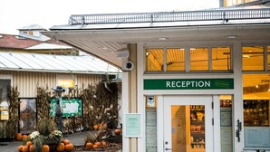 Une zone d'accueil avec une enseigne indiquant « RÉCEPTION » et une autre enseigne verte au-dessus. On peut voir des plantes et des citrouilles à l'extérieur.