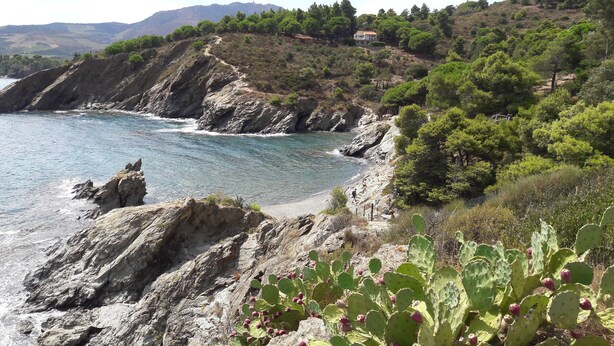 A coastal landscape with rocky terrain, cacti, and a clear view of the sea. - Studio Magnifique Vue Mer, Piscine, Climatisation, Terrasse, Parking Couvert (Collioure)