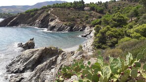 Un paysage côtier caractérisé par un terrain rocheux, des cactus et une vue dégagée sur la mer.