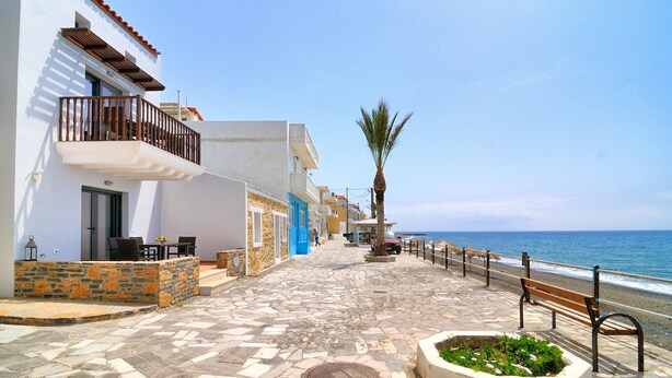 A coastal street with buildings, a bench, and a palm tree.