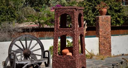 BIO Finca Las Tenerias Palomar 3