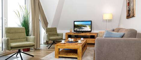 Televisión, chimenea, reproductor de DVD y libros