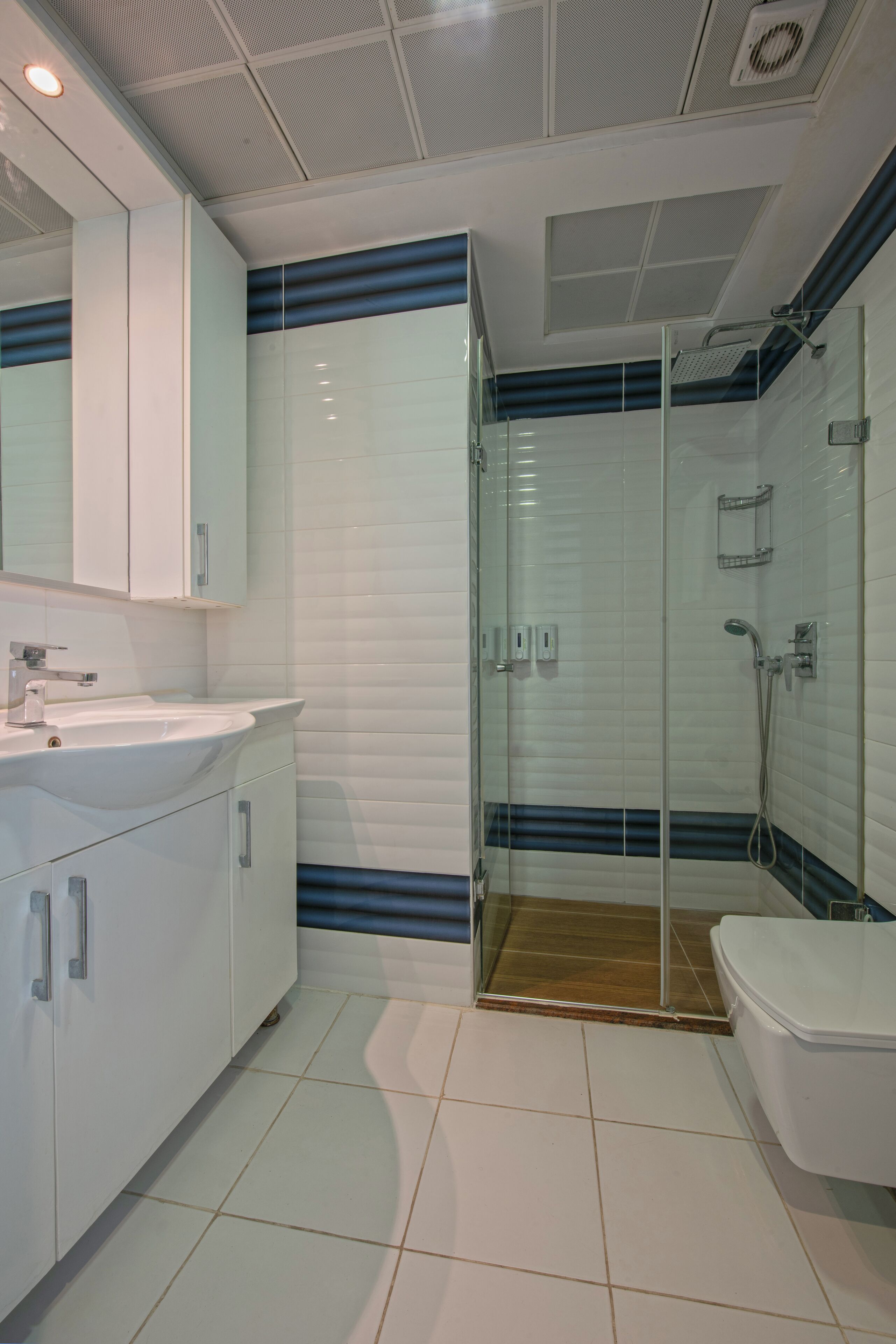 A modern bathroom with a glass-enclosed shower, a white sink, and a toilet.