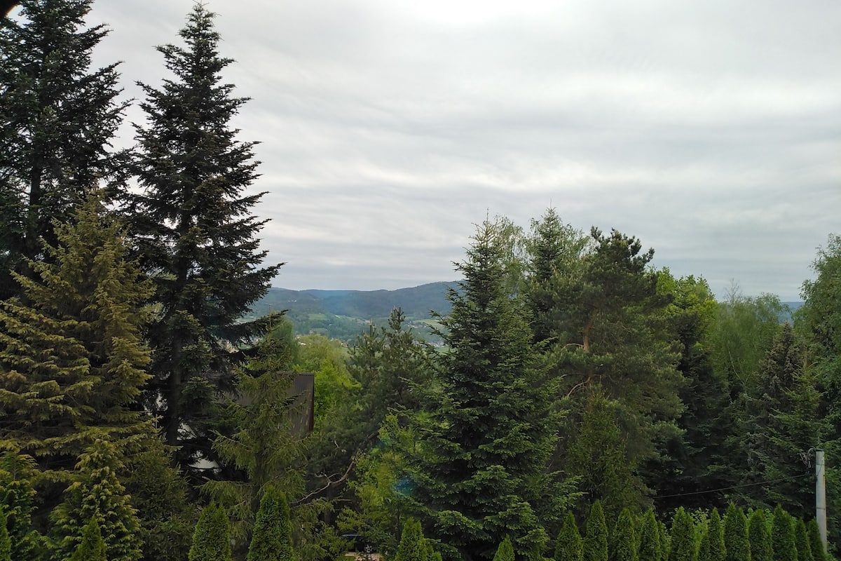 Vista a la montaña