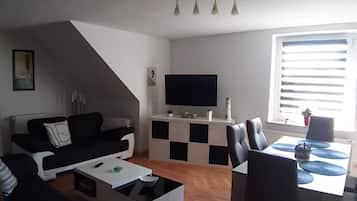 TV, fireplace, books