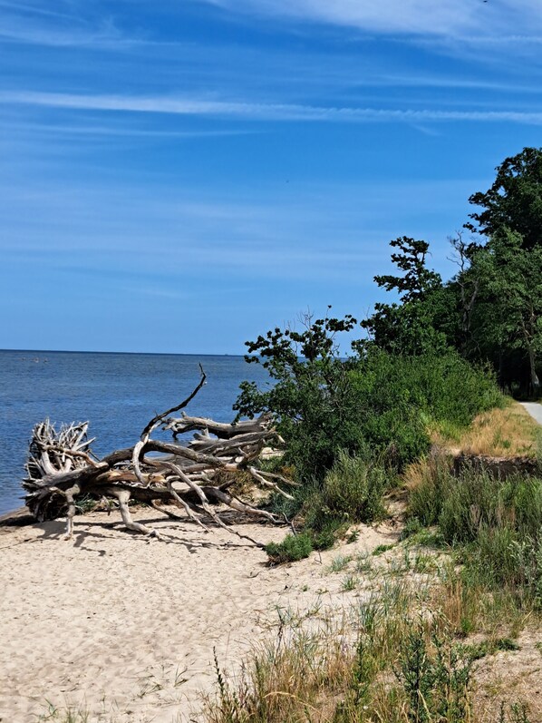 Sun loungers - Vacation apartment 100sqm <br>Living <br>3 double beds Bedroom<br>Kitchen<br>Bathroom (Loissin)