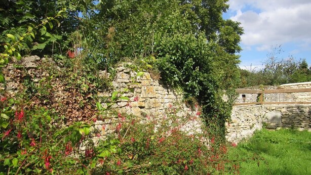 Un mur de pierre recouvert de lierre et de plantes à fleurs.