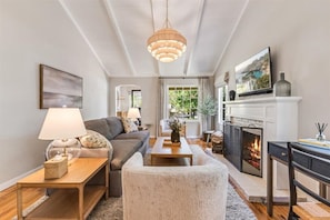 TV, fireplace, smart speakers